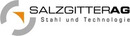 Logo Salzgitter AG in Langenhagen